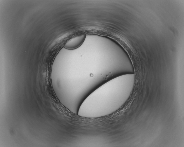 X0000112921111200908241025