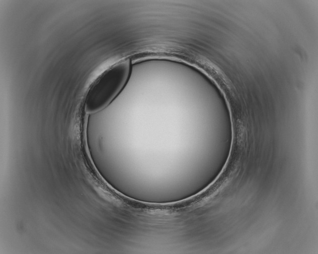 X0000112921114200908241025