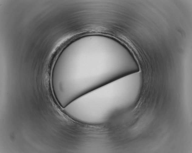 X0000112921115200908241025
