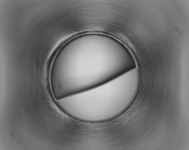 X0000112921116200908241025