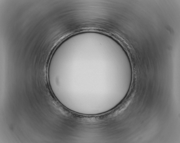 X0000112921121200908241025