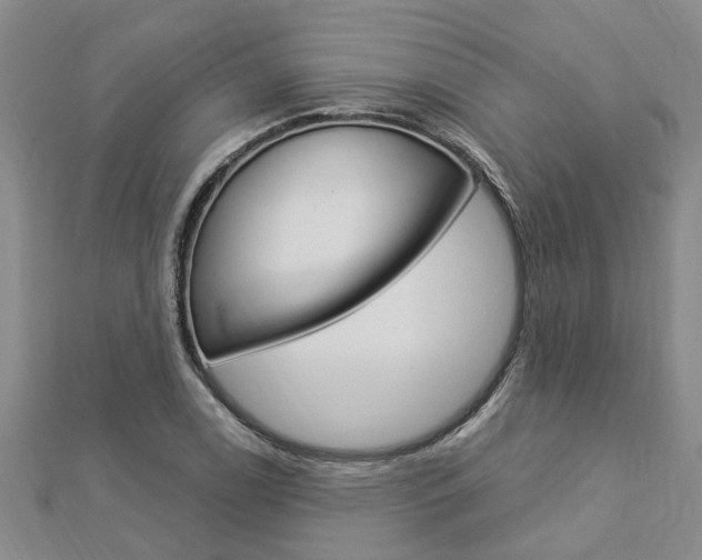 X0000112921122200908241025