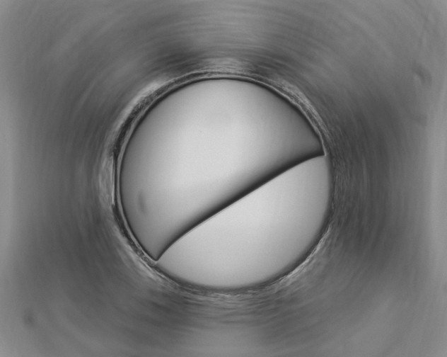 X0000112921123200908241025
