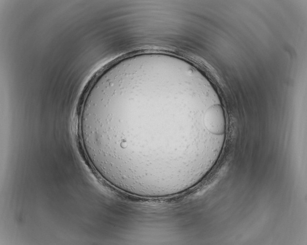 X0000112921125200908241025