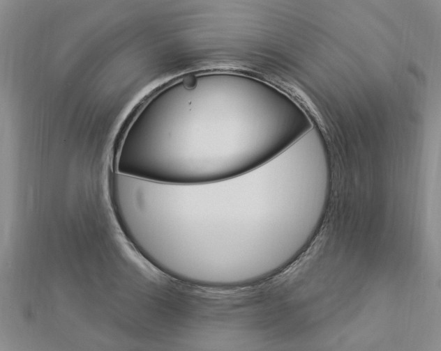 X0000112921132200908241025