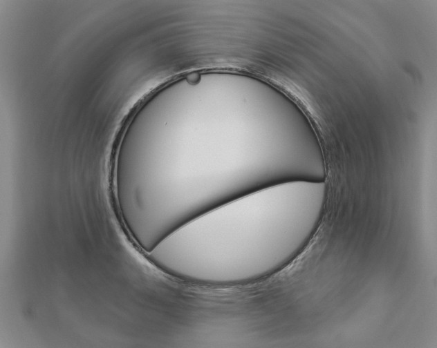 X0000112921135200908241025