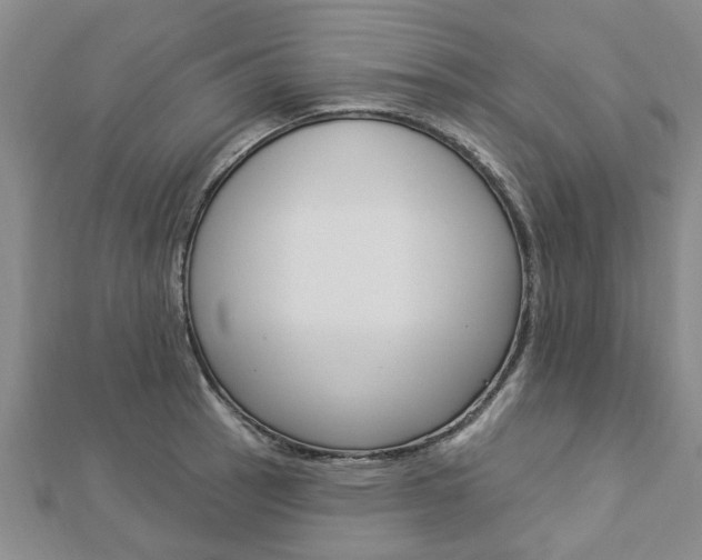 X0000112921137200908241025