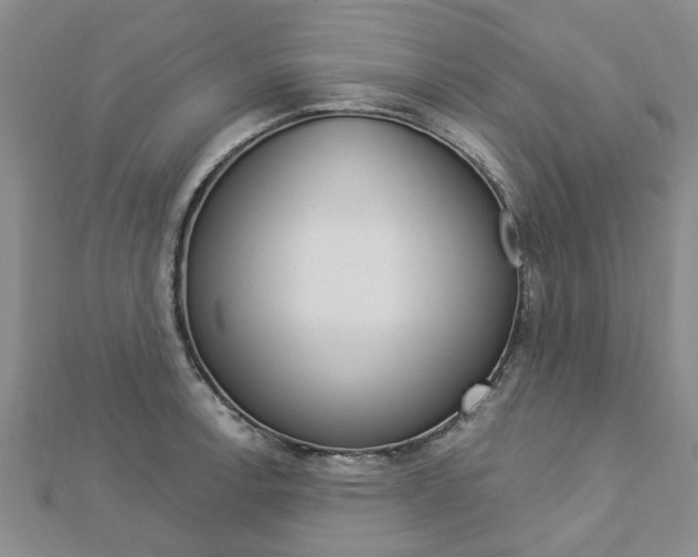 X0000112921138200908241025