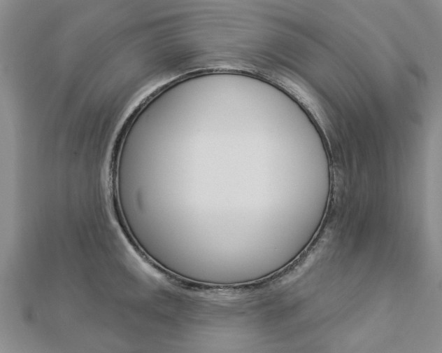 X0000112921141200908241025