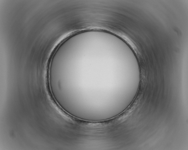 X0000112921142200908241025