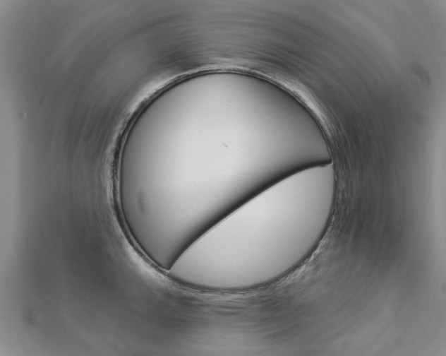 X0000112921143200908241025