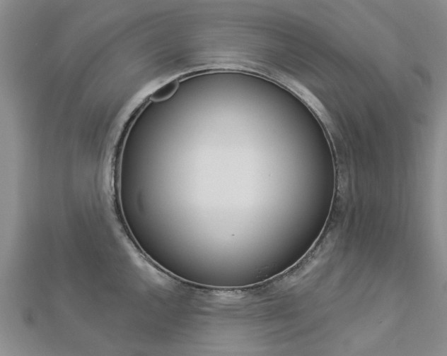 X0000112921144200908241025
