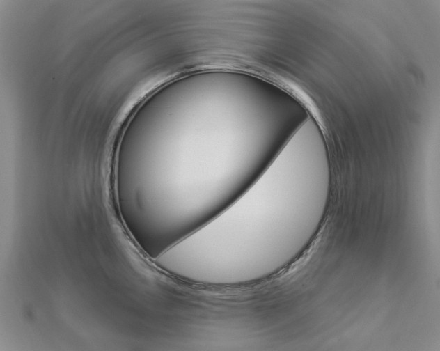 X0000112921146200908241025