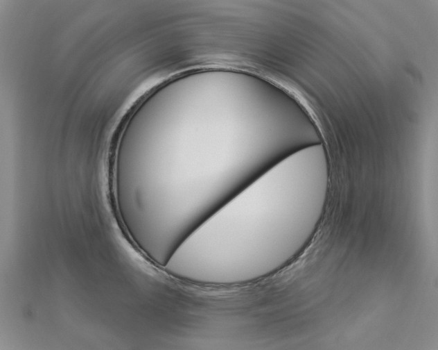 X0000112921147200908241025