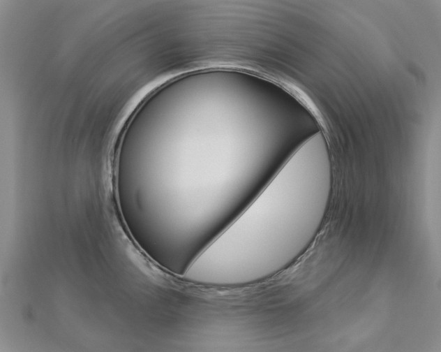 X0000112921148200908241025