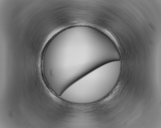 X0000112921149200908241025