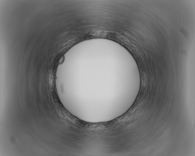 X0000112921154200908241024