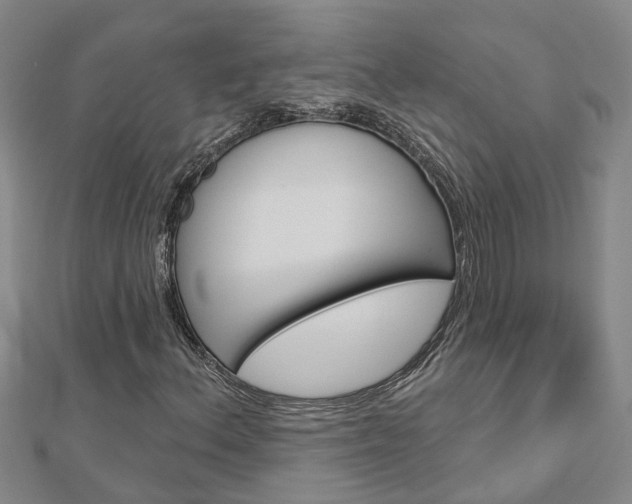 X0000112921156200908241024