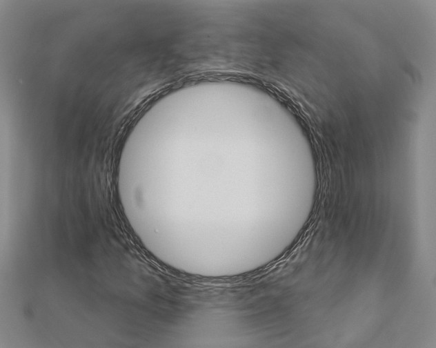 X0000112921157200908241024