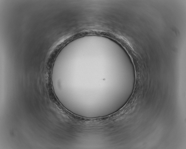 X0000112921159200908241024