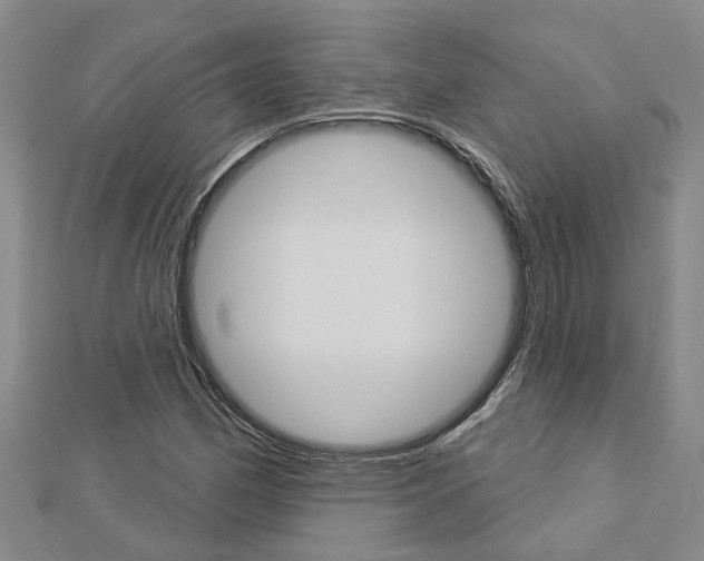 X0000112921162200908241024