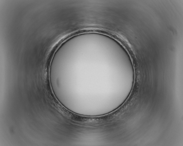 X0000112921167200908241024