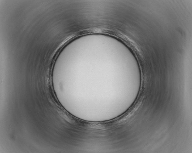 X0000112921170200908241024