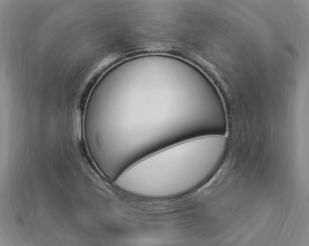 X0000112921171200908241024