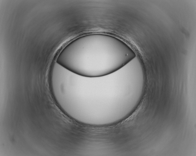 X0000112921173200908241024