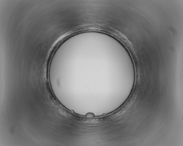X0000112921174200908241024