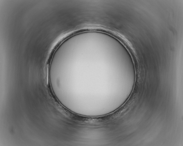 X0000112921175200908241024