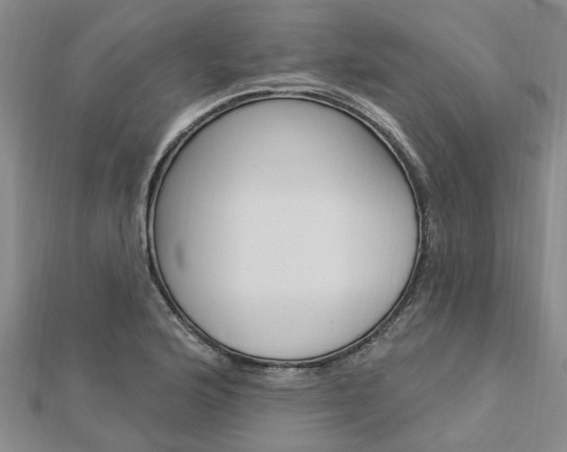 X0000112921176200908241024