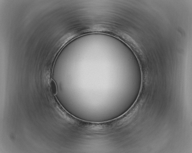 X0000112921177200908241024