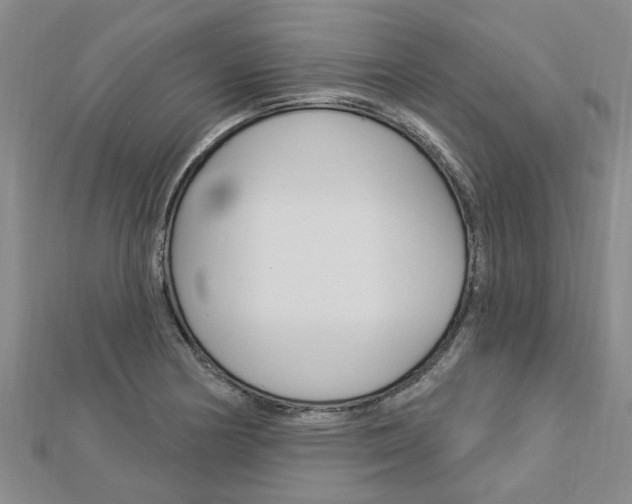 X0000112921178200908241024