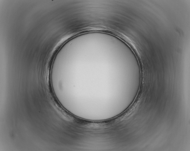 X0000112921179200908241024