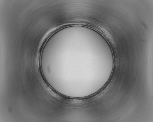 X0000112921180200908241024