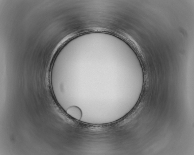 X0000112921182200908241024