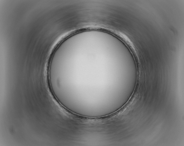X0000112921183200908241024