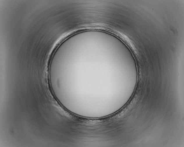 X0000112921184200908241024