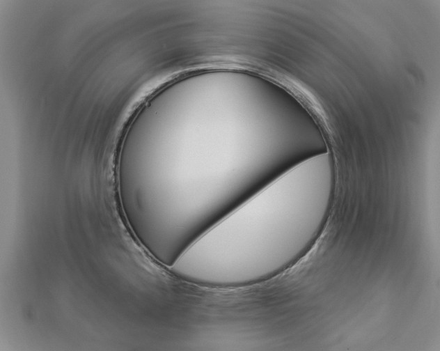 X0000112921192200908241024