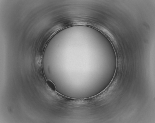 X0000112921193200908241024