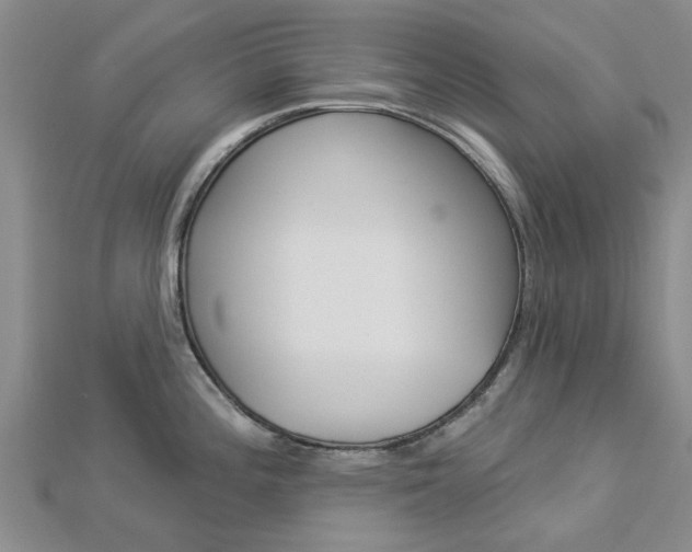 X0000112921196200908241024