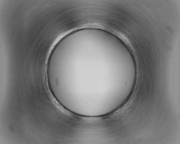 X0000112921200200908241024