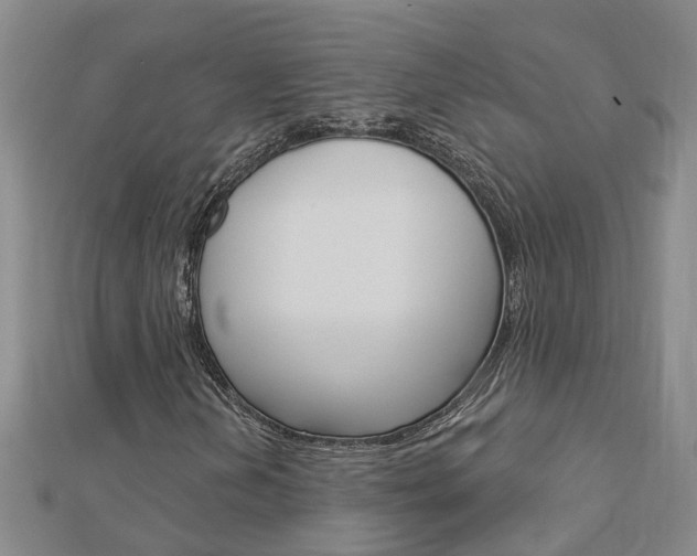 X0000112921202200908241023