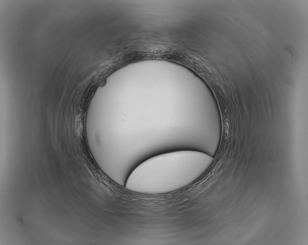 X0000112921204200908241023