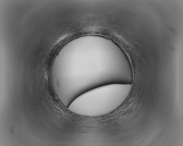 X0000112921206200908241023