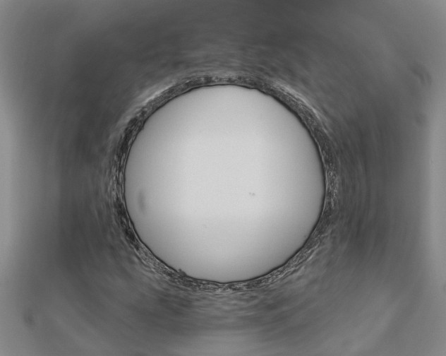 X0000112921207200908241023