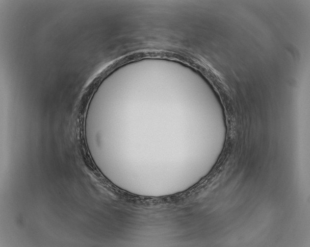 X0000112921208200908241023