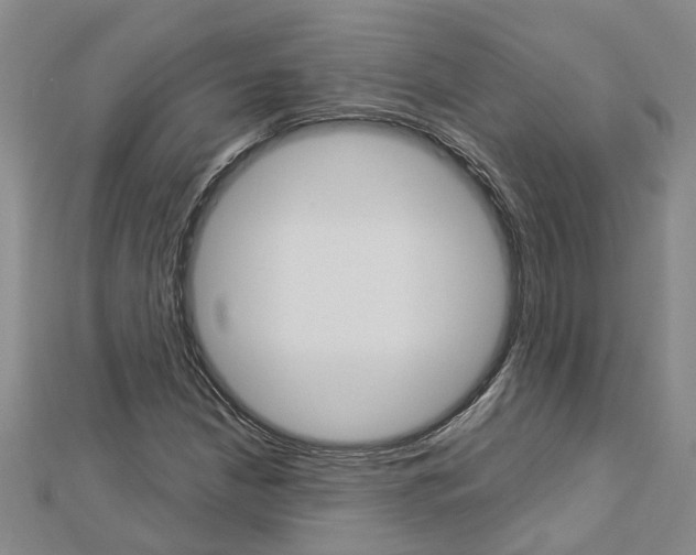 X0000112921210200908241023