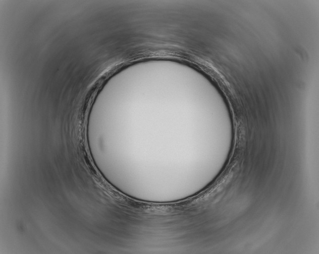 X0000112921211200908241023